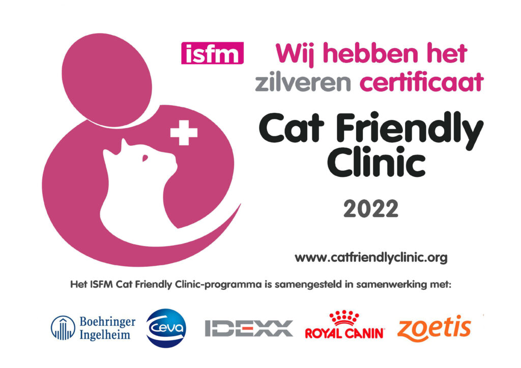 Cat Friendly Clinic, Katvriendelijk, Kat, Vriendelijk