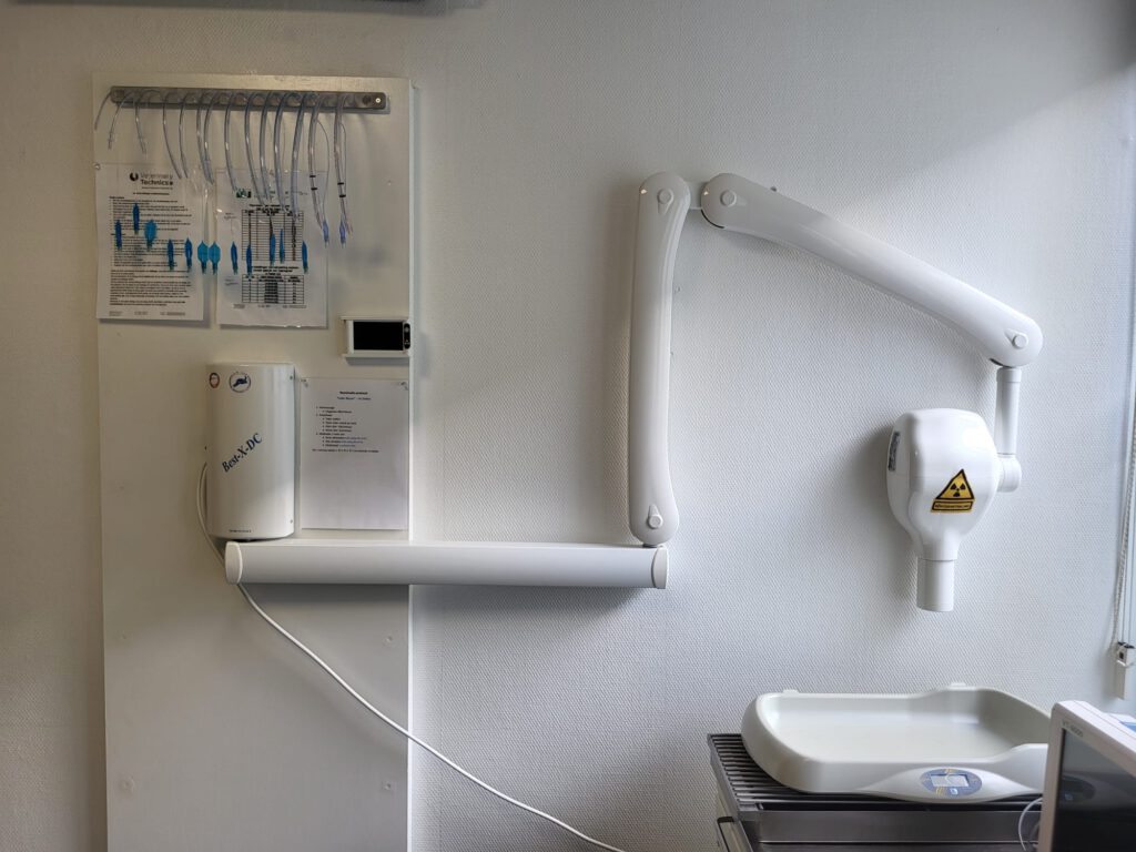 Dentale Röntgen Dentale Röntgen